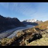 20151107_0299